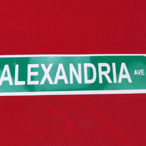 Alexandria Ave 4" x 16" Metal Novelty Street Sign Aluminum Decorative Hanger