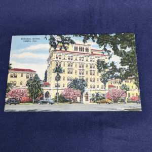 Tampa Florida Mirasol Hotel Lithograph Colored Vintage Postcard