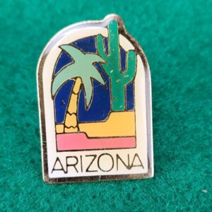 Arizona Souvenir Vintage Epoxy Lapel Pin - Desert Cactus Palm Tree Theme