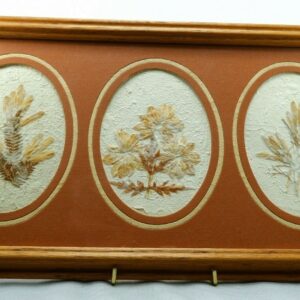 Vintage Framed Natural Art Flowers Pressed Figi Giftware