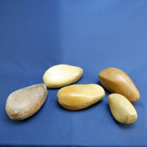 Lot of 5 Vintage Miscellaneous Taxidermy Bird Foal Body Form Foams