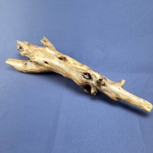 Hand Made Polish Driftwood Art Imbedded Pebble  - Adirondack Upstate New York